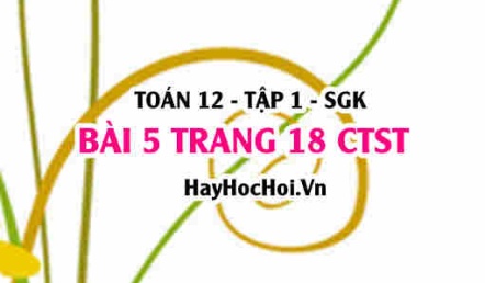 Bài 5 trang 18 Toán 12 tập 1 Chân trời sáng tạo